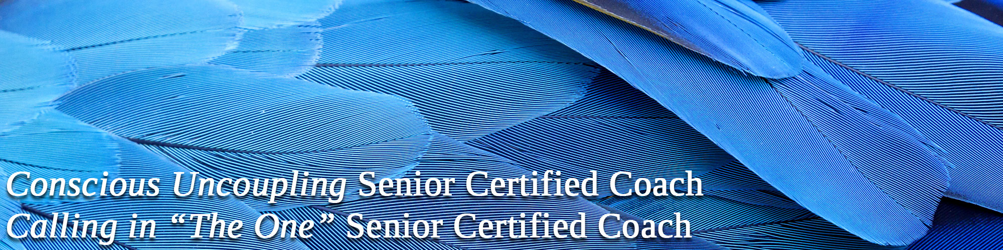 Conscious Uncoupling Senior Certified Coach - Calling in The One Senior Certified Coach